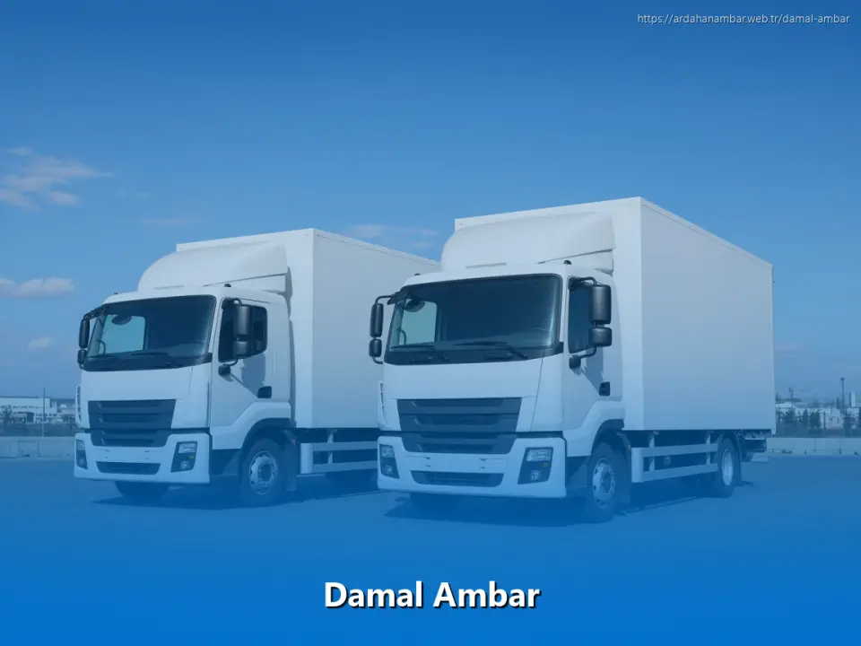 Damal Ambar